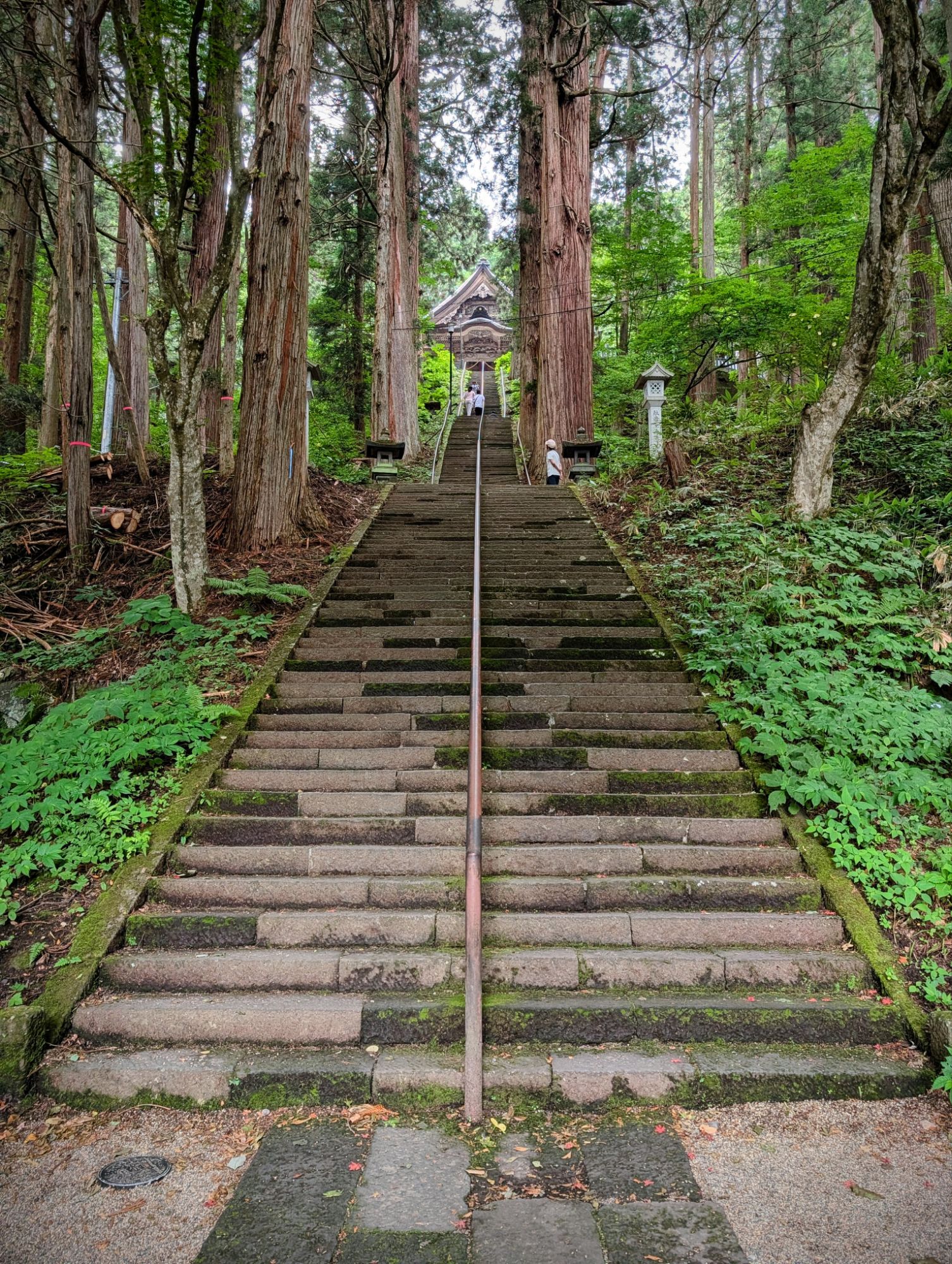 【戸隠五社巡り①】宝光社(ほうこうしゃ)の御朱印・神様・見どころ完全ガイド!男坂の長い階段と女坂の巡り方