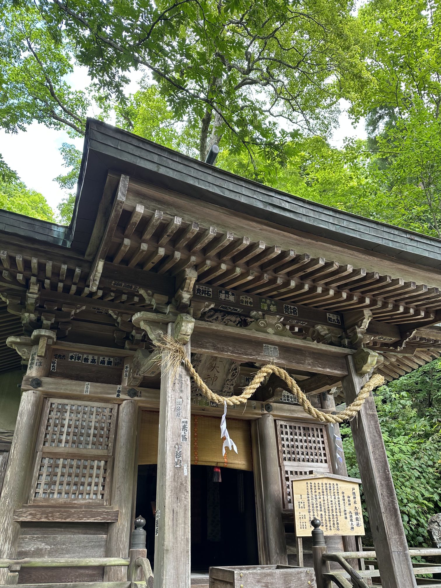 【戸隠五社巡り④】九頭龍社(くずりゅうしゃ)の御朱印・神様・見どころ完全ガイド!戸隠最古の歴史と圧巻の杉並木参道