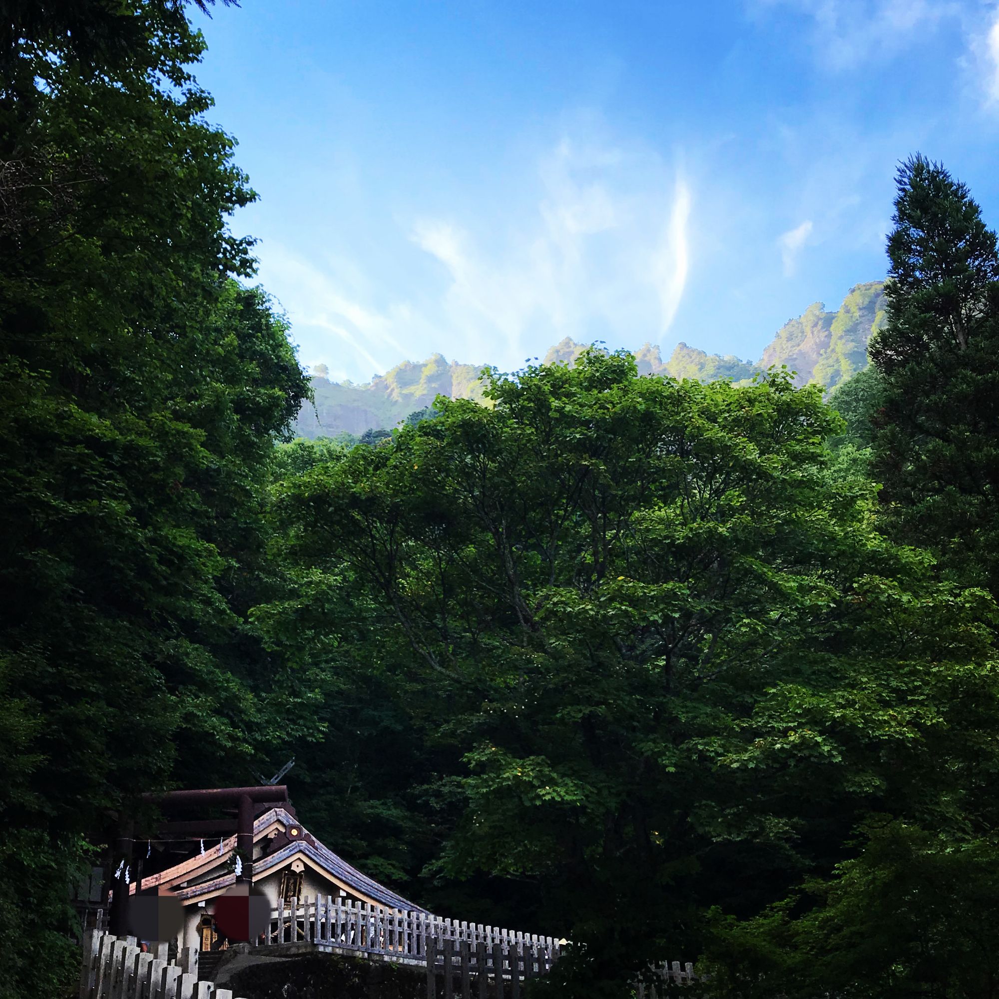 【戸隠五社巡り⑤】奥社(おくしゃ)の御朱印・神様・見どころ完全ガイド!ガラリと空気が変わる戸隠最高のパワースポットと五社達成の証
